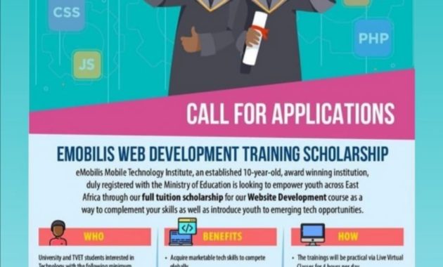 EMobilis Web Development training scholarship